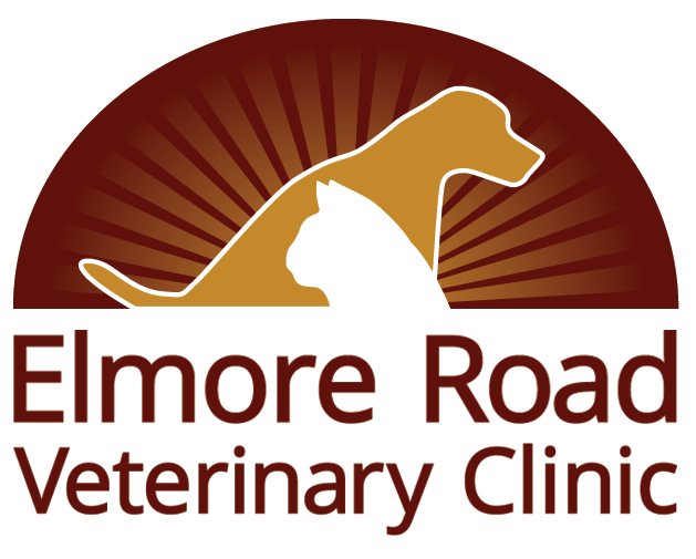Veterinarian in Southaven, MS | Elmore Road Veterinary Clinic