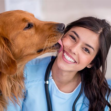 Dog licking vet's face: Animal Hospital in Austin